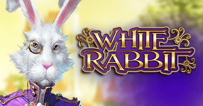 White Rabbit at Casino Days